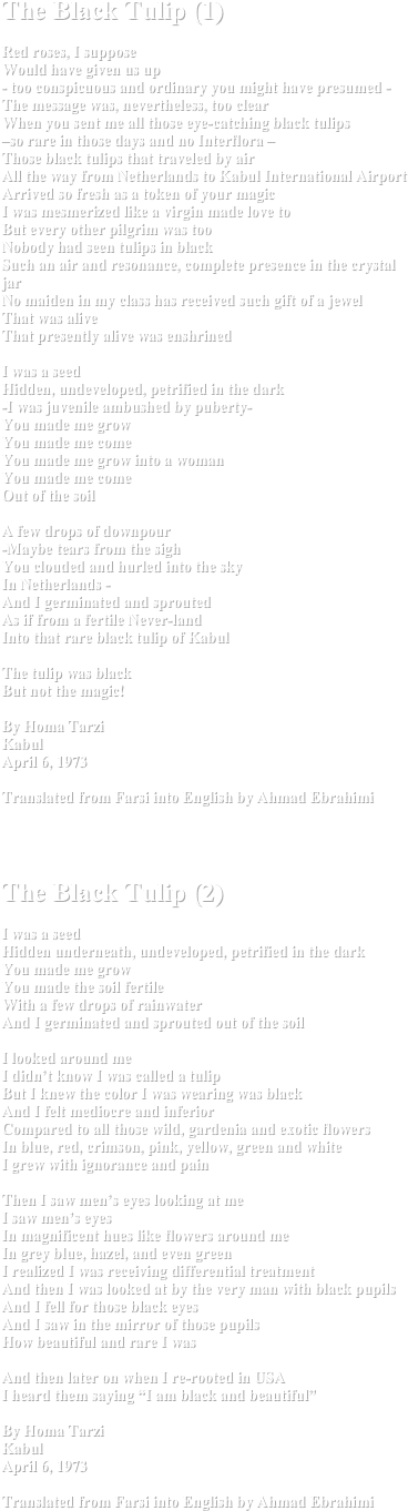 The Black Tulip (1)Red roses, I supposeWould have given us up- too conspicuous and ordinary you might have presumed -The message was, nevertheless, too clear When you sent me all those eye-catching black tulips–so rare in those days and no Interflora – Those black tulips that traveled by airAll the way from Netherlands to Kabul International AirportArrived so fresh as a token of your magicI was mesmerized like a virgin made love toBut every other pilgrim was tooNobody had seen tulips in blackSuch an air and resonance, complete presence in the crystal jar No maiden in my class has received such gift of a jewelThat was aliveThat presently alive was enshrined I was a seedHidden, undeveloped, petrified in the dark-I was juvenile ambushed by puberty-You made me grow You made me comeYou made me grow into a womanYou made me comeOut of the soilA few drops of downpour -Maybe tears from the sigh You clouded and hurled into the sky In Netherlands -And I germinated and sprouted As if from a fertile Never-land Into that rare black tulip of KabulThe tulip was blackBut not the magic!By Homa TarziKabulApril 6, 1973Translated from Farsi into English by Ahmad Ebrahimi




The Black Tulip (2)I was a seedHidden underneath, undeveloped, petrified in the dark You made me grow You made the soil fertile With a few drops of rainwaterAnd I germinated and sprouted out of the soilI looked around meI didn’t know I was called a tulip But I knew the color I was wearing was blackAnd I felt mediocre and inferiorCompared to all those wild, gardenia and exotic flowers In blue, red, crimson, pink, yellow, green and whiteI grew with ignorance and painThen I saw men’s eyes looking at meI saw men’s eyes In magnificent hues like flowers around meIn grey blue, hazel, and even green I realized I was receiving differential treatmentAnd then I was looked at by the very man with black pupilsAnd I fell for those black eyesAnd I saw in the mirror of those pupilsHow beautiful and rare I wasAnd then later on when I re-rooted in USAI heard them saying “I am black and beautiful”By Homa TarziKabulApril 6, 1973Translated from Farsi into English by Ahmad Ebrahimi